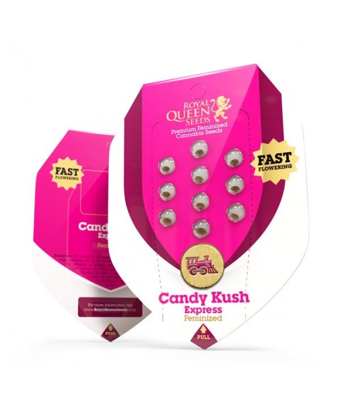 Candy Kush Express Fast Flowering feminised